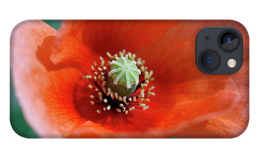 Shadow iPhone 13 Case featuring the photograph Poppy Flower by Copyright Crezalyn Nerona Uratsuji