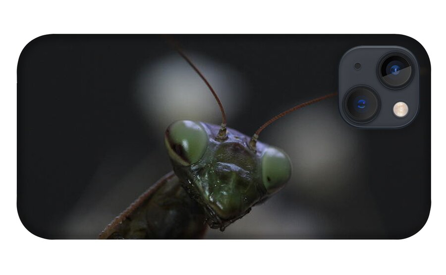 Mantis iPhone 13 Case featuring the photograph Praying mantis by Martin Smith