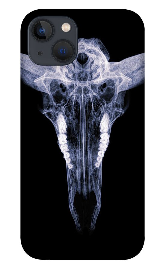 Kansas iPhone 13 Case featuring the photograph Pronghorn x-ray 04 by Rob Graham