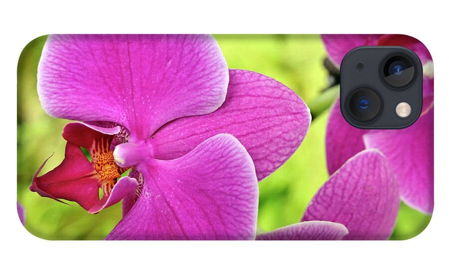 Purple iPhone 13 Case featuring the photograph Purple Orchids, Close-up by Sami Sarkis
