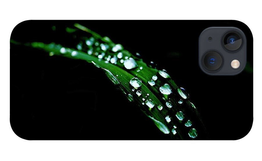 Leaf iPhone 13 Case featuring the photograph Rain On A Green Leaf In Black by Alida M Haslett