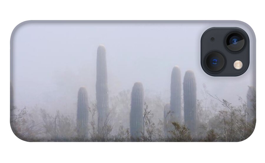 Affordable iPhone 13 Case featuring the photograph Rare Desert Fog by Judy Kennedy