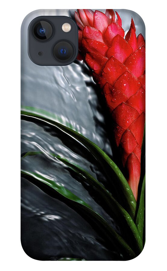 Red Ginger iPhone 13 Case featuring the photograph Red Ginger Flower Alpinia Purpurata On by Jaime Chard