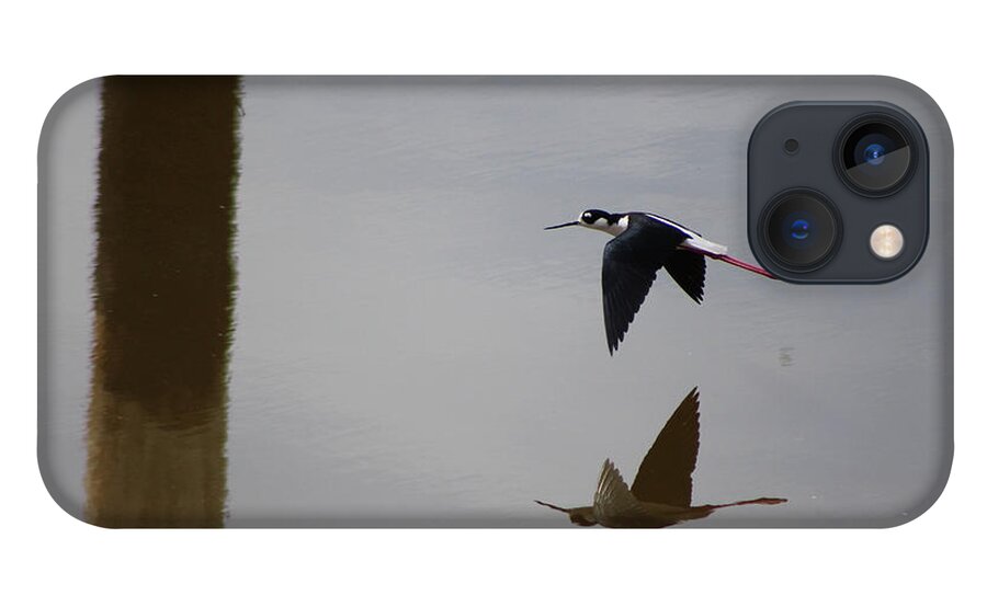Black Neck Stilt Flying iPhone 13 Case featuring the photograph Reflection of the Salton Sea Black Neck Stilt Flying by Colleen Cornelius