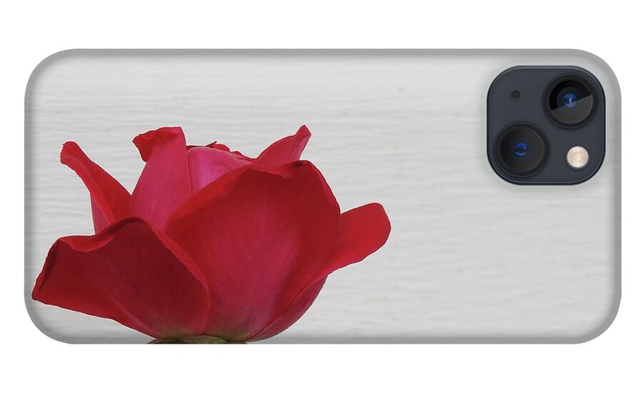 Rose iPhone 13 Case featuring the photograph Rose Haven by Kathy Ozzard Chism