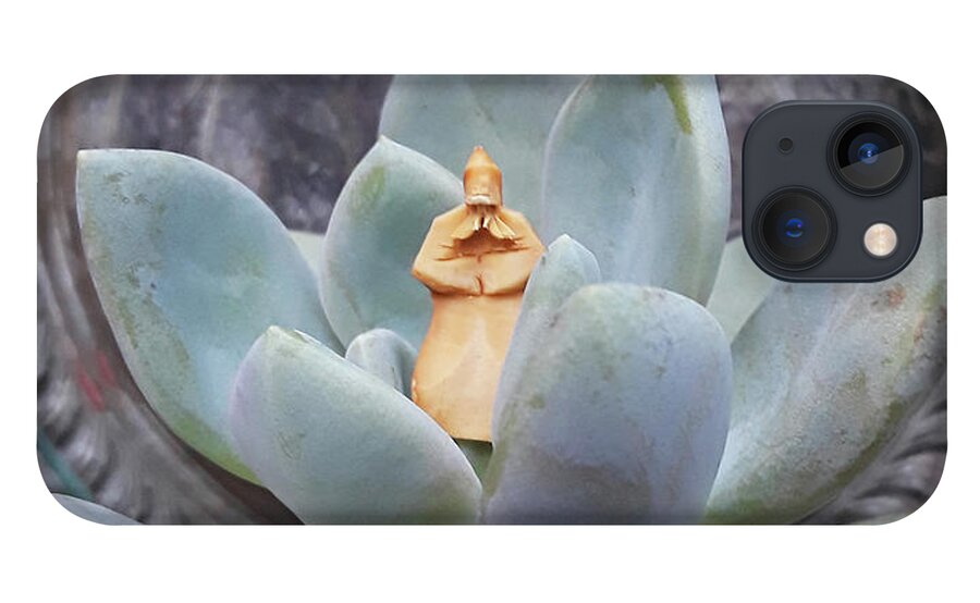 Dudleya iPhone 13 Case featuring the photograph Sage in a Succulent by Ismael Cavazos