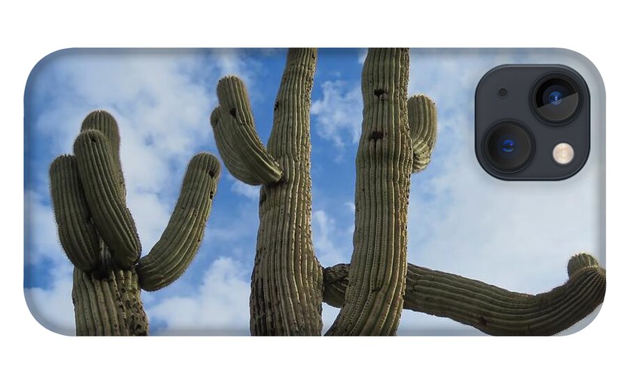 Arizona iPhone 13 Case featuring the photograph Saguaro Clique by Judy Kennedy
