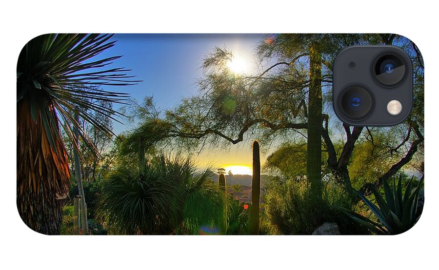 Sun iPhone 13 Case featuring the photograph San Diego Botanical Garden by Alex Morales
