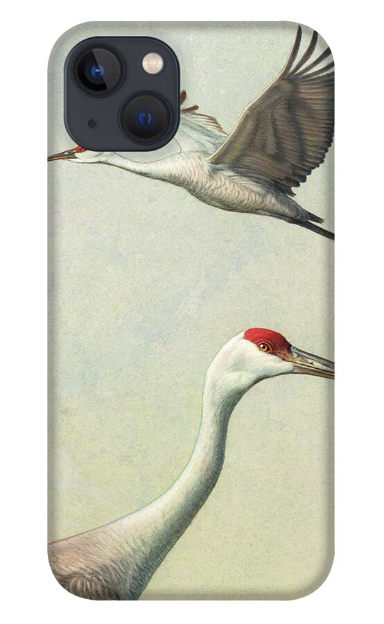 Crane iPhone 13 Case featuring the painting Sandhill Cranes by James W Johnson