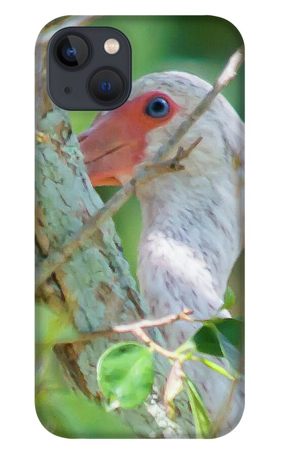 Susan Molnar iPhone 13 Case featuring the photograph 's'at You? by Susan Molnar