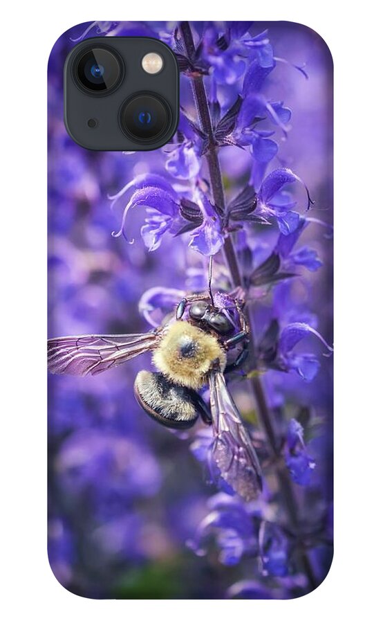 Bumblebee iPhone 13 Case featuring the photograph Save the Bees by Shannon Kelly