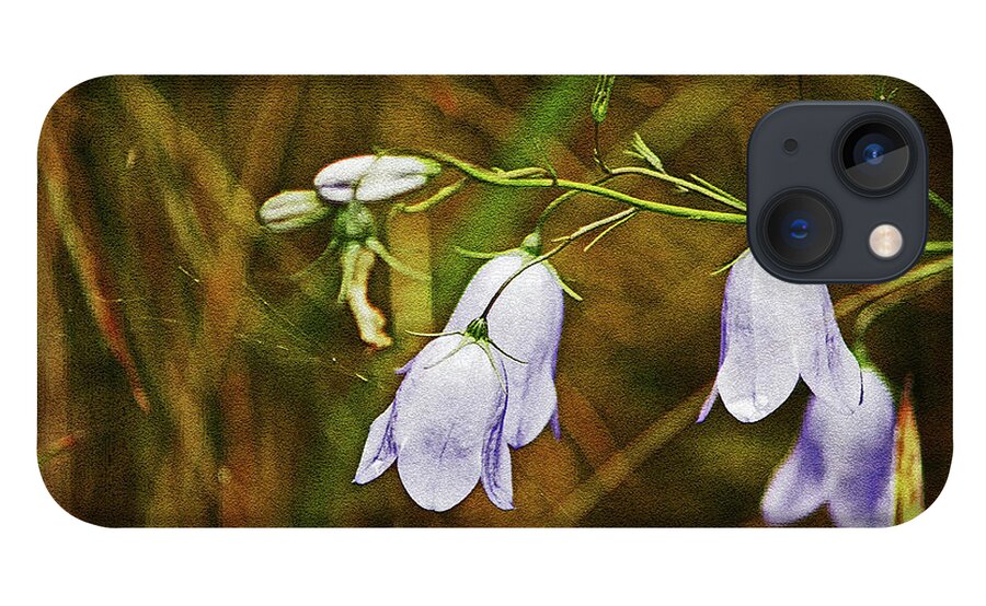 Scotland iPhone 13 Case featuring the photograph SCOTLAND. Loch Rannoch. Harebells In The Grass. by Lachlan Main