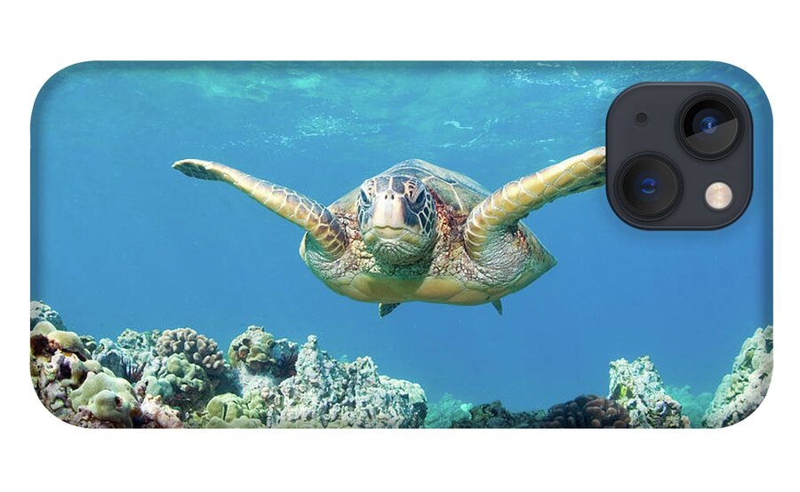 Underwater iPhone 13 Case featuring the photograph Sea Turtle Maui by M.m. Sweet