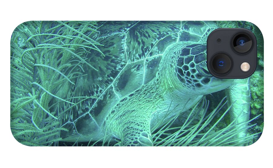 Sea Turtle iPhone 13 Case featuring the photograph Green Sea Turtle Underwater Wonders by Leslie Struxness