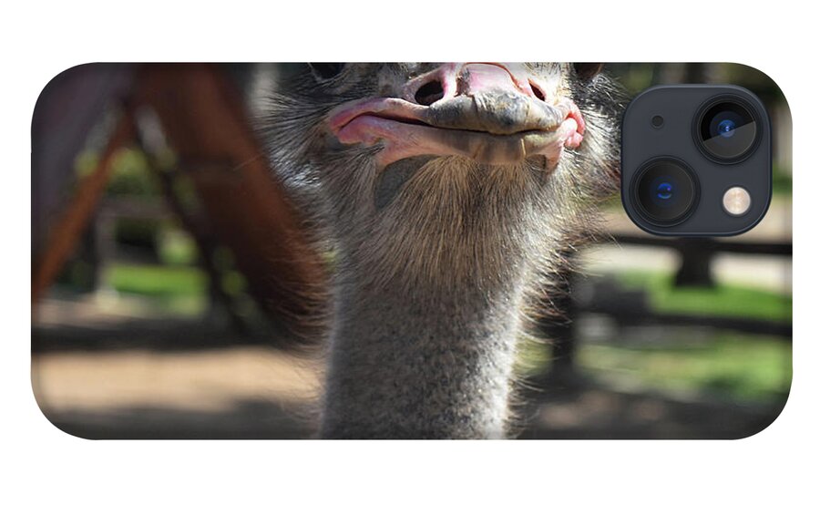 Silly Ostrich Making Very Funny Faces iPhone 13 Case by DejaVu Designs -  Pixels