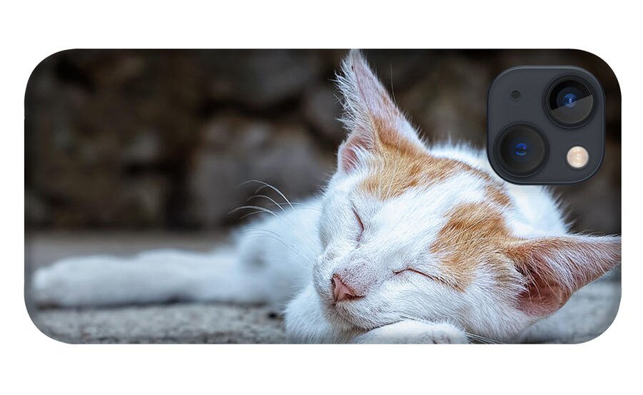 Animal iPhone 13 Case featuring the photograph Sleeping Kitty by Rick Deacon