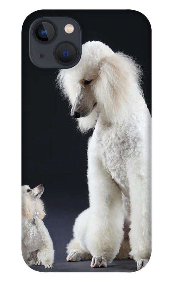 Pets iPhone 13 Case featuring the photograph Small And Large Poodle by Peter Cade