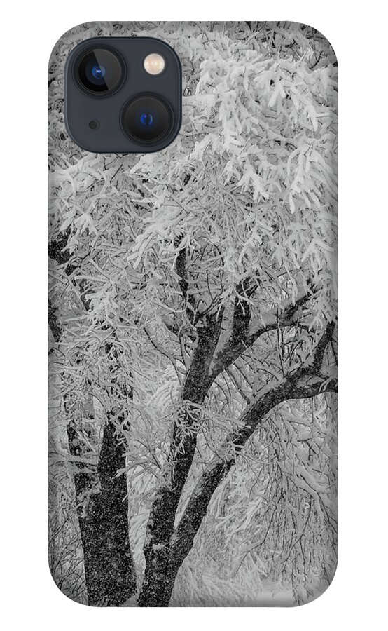 Snow iPhone 13 Case featuring the photograph Snowfall Scene by Mary Anne Delgado