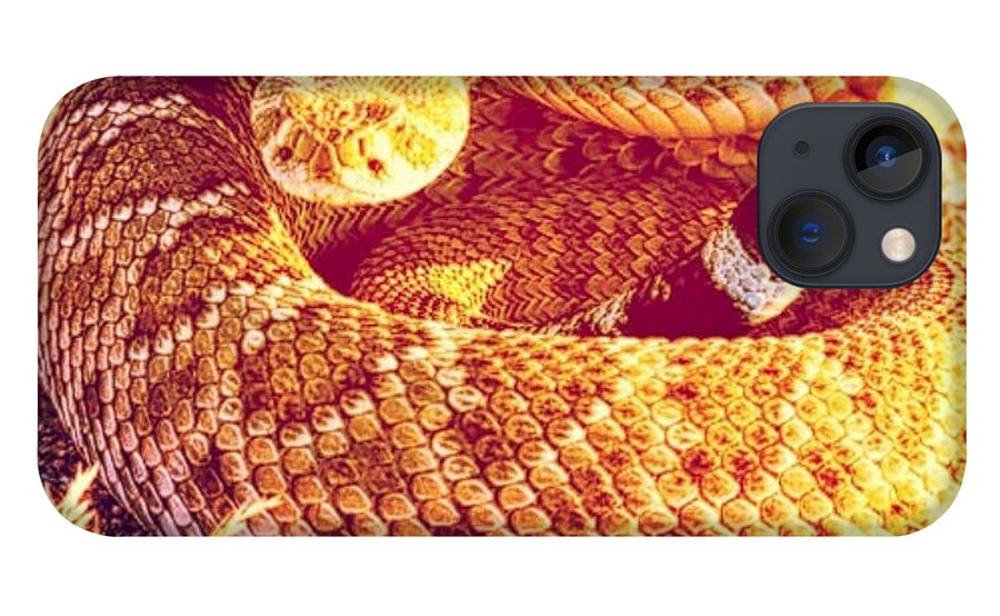 Snake iPhone 13 Case featuring the photograph Soak Up Sunshine by Judy Kennedy