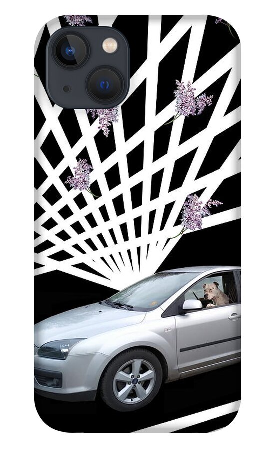 Silver Car iPhone 13 Case featuring the photograph Spectacularly Gone to the Dogs by Andrea Lazar
