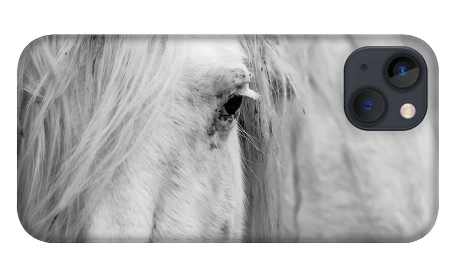 Wild Horse iPhone 13 Case featuring the photograph Spirit of the Wild by Holly Ross