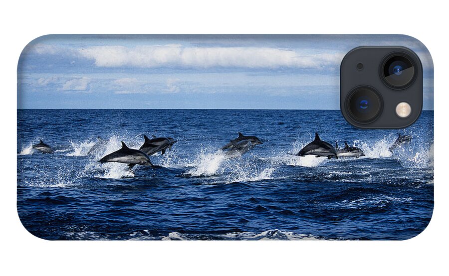 Spray iPhone 13 Case featuring the photograph Striped Dolphin,stenella Coeruleoalba by Gerard Soury