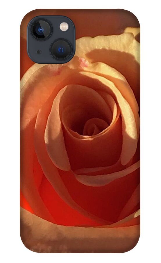 Rose iPhone 13 Case featuring the photograph Summer Glow by Tiesa Wesen