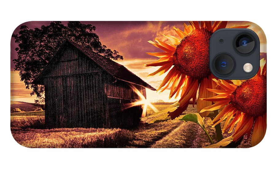 American iPhone 13 Case featuring the photograph Sunflower Watch Golden Evening by Debra and Dave Vanderlaan