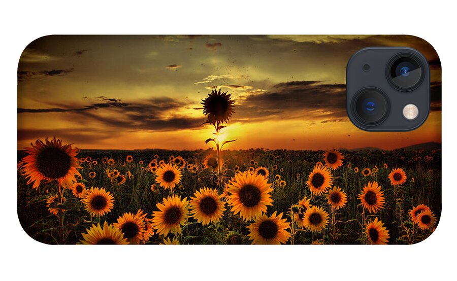 Tranquility iPhone 13 Case featuring the photograph Sunflowers At Dusk by Stehlibela-alias-scarbody