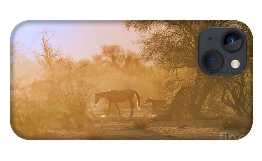 Cute iPhone 13 Case featuring the photograph Sunrise Walk by Shannon Hastings