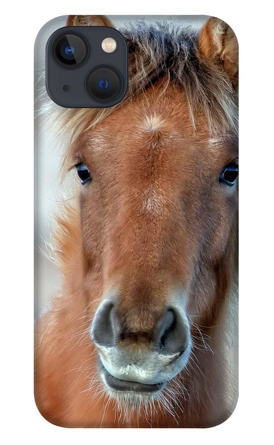 Emmie iPhone 13 Case featuring the photograph Emmie by John T Humphrey