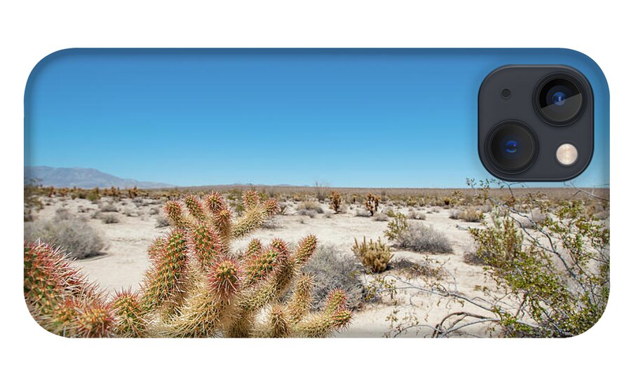Anza-borrego Desert State Park iPhone 13 Case featuring the photograph Teddy Bear Cactus by Mark Duehmig