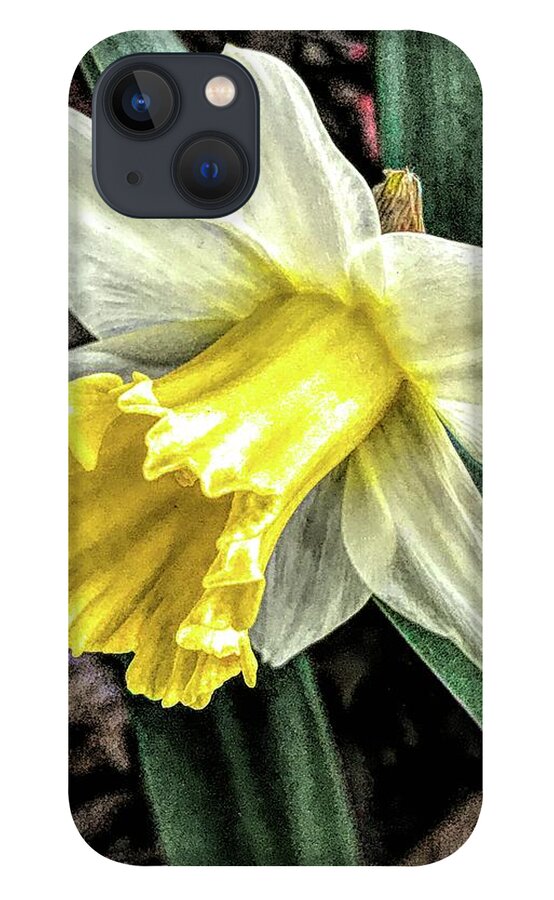 Art iPhone 13 Case featuring the photograph Tell Me by Jeff Iverson