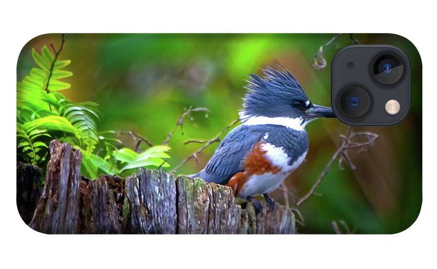 Kingfisher iPhone 13 Case featuring the photograph The Kingfisher by Mark Andrew Thomas