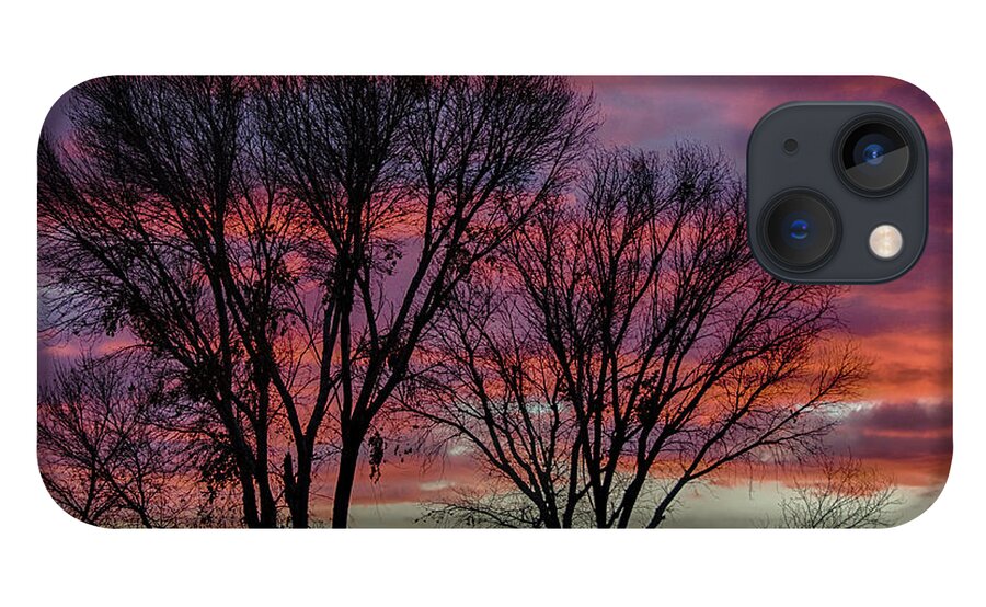 Arizona iPhone 13 Case featuring the photograph The trees know sunset by Gaelyn Olmsted