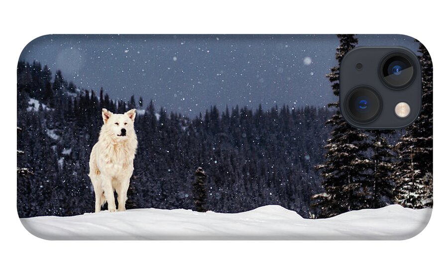 Animals iPhone 13 Case featuring the photograph The Wolf by Evgeni Dinev