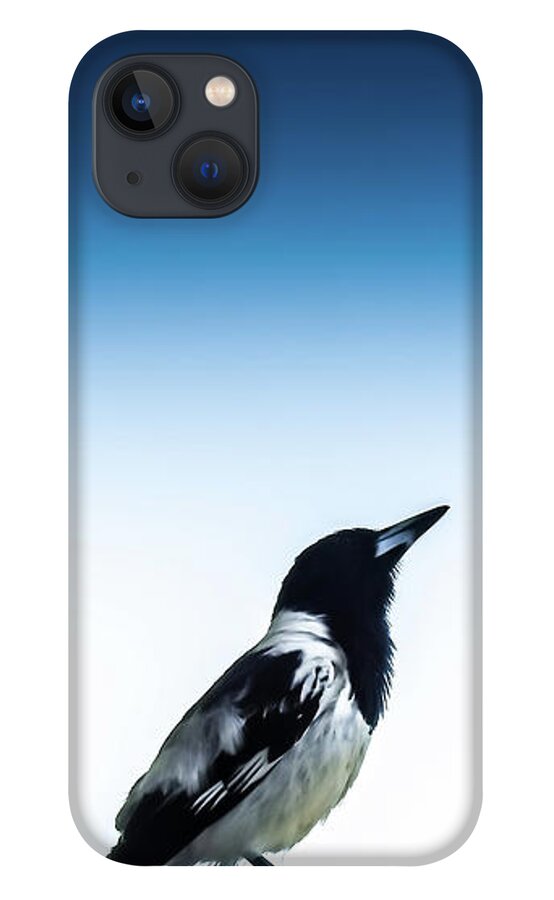 Az Jackson Gallery iPhone 13 Case featuring the photograph Things Are Looking Up by Az Jackson