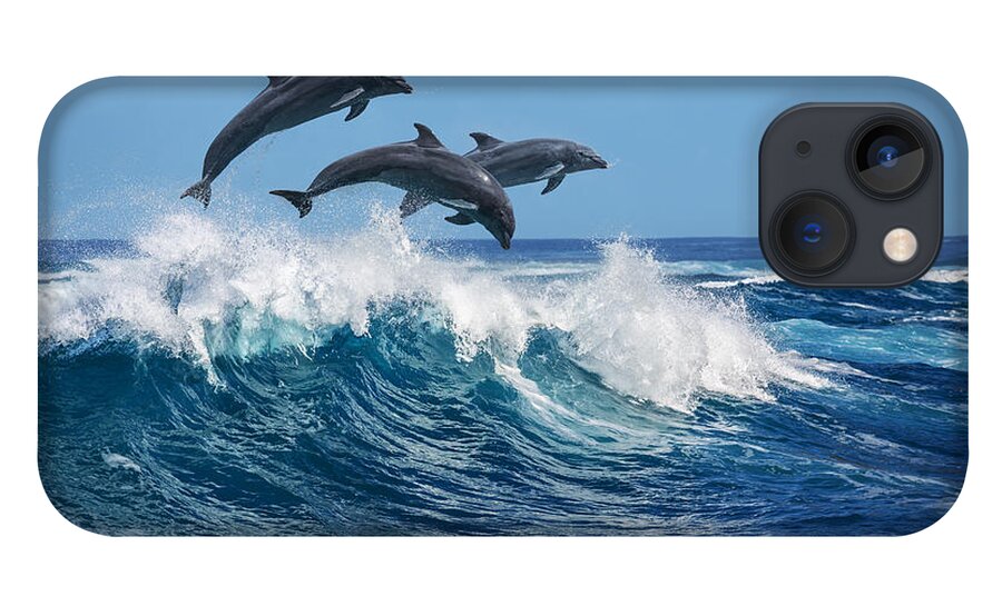 Beauty iPhone 13 Case featuring the photograph Three Beautiful Dolphins Jumping by Willyam Bradberry