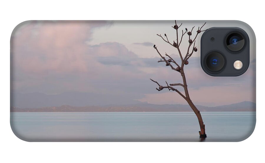 Scenics iPhone 13 Case featuring the photograph Tree In Water by Flash Parker