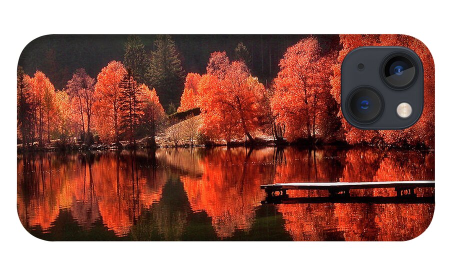 Autumn iPhone 13 Case featuring the photograph Trees Facing Trees by Philippe Sainte-Laudy