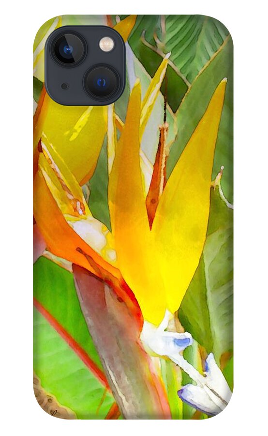 Two Of A Kind iPhone 13 Case featuring the digital art Two Of A Kind by James Temple