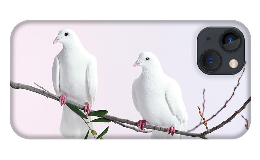 Purity iPhone 13 Case featuring the photograph Two White Doves With Olive Branch by Walker And Walker