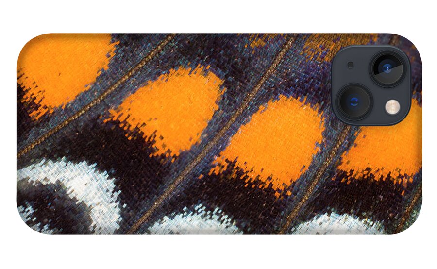 Natural Pattern iPhone 13 Case featuring the photograph Under Wing Close-up Red Spotted Purple by Darrell Gulin