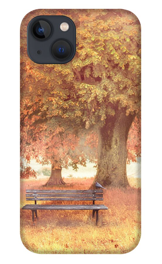 Fall iPhone 13 Case featuring the photograph Waiting for You in Early Autumn Mists by Debra and Dave Vanderlaan
