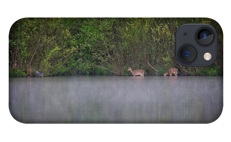 Wildlife iPhone 13 Case featuring the photograph Water Grazing Deer by John Benedict