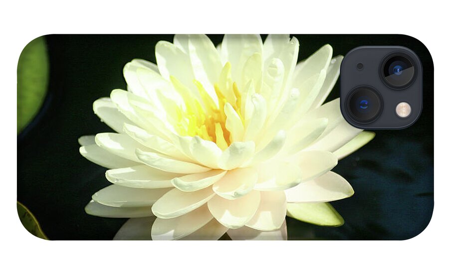 Flower iPhone 13 Case featuring the photograph Water Lily by Steve Karol