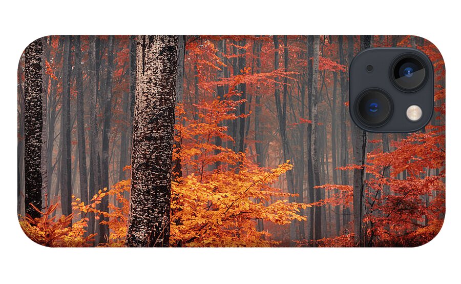 Mist iPhone 13 Case featuring the photograph Welcome To Orange Forest by Evgeni Dinev