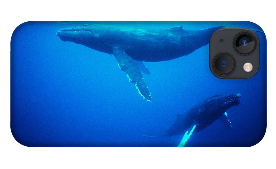 Underwater iPhone 13 Case featuring the photograph Whales Underwater by Digital Vision.