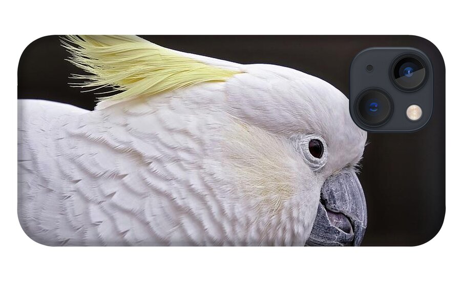 Cockatoo iPhone 13 Case featuring the photograph White cockatoo by Martin Smith