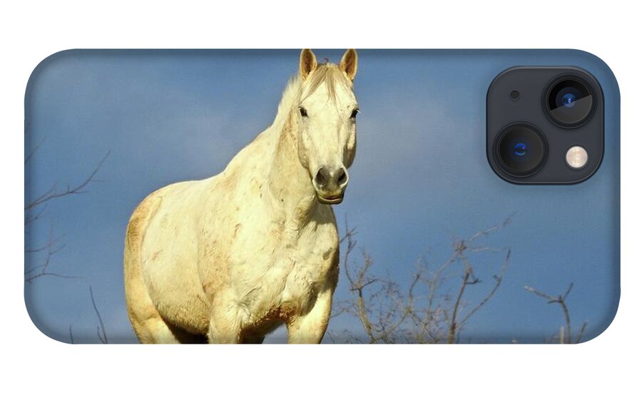  iPhone 13 Case featuring the photograph White Horse by Kathy Ozzard Chism